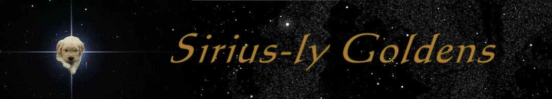Sirius-ly Goldens